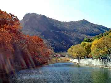 新澳天天开奖资料大全旅游团，白羽王鸽